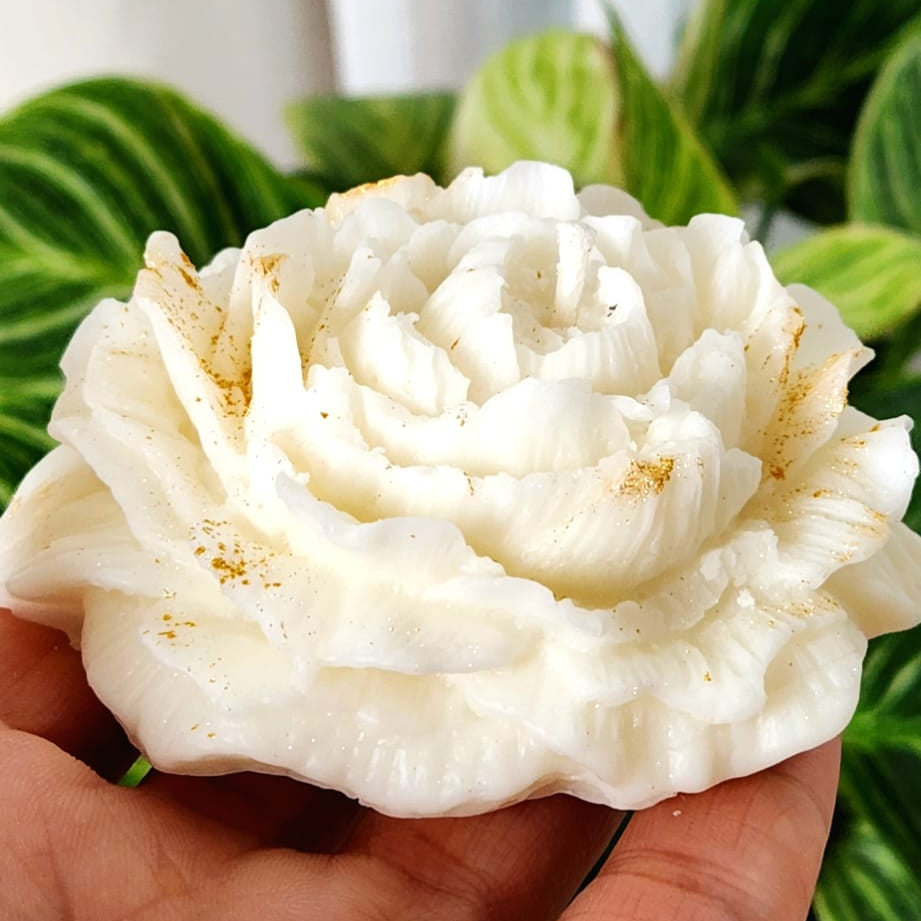 Artemisia (Open Rose)