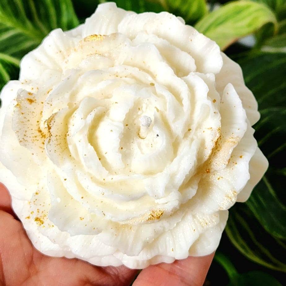 Artemisia (Open Rose)